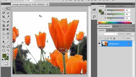 Photoshop CS5 Tutorial Adjusting Pixel Selections Adobe Training Lesson 7.9