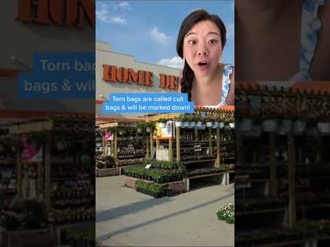 Home Depot 50%