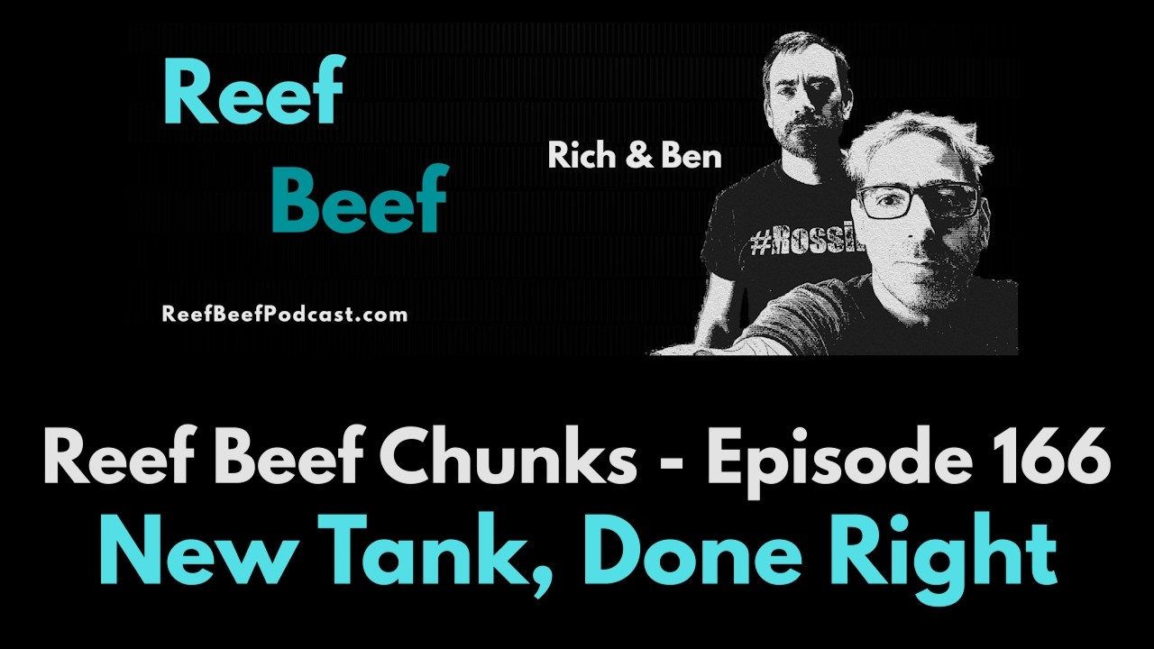 This is a chunk of Reef Beef podcast episode 166 where Rich talks about the upgrade he is doing to his lights and house to prepare for his new aquarium build.

Watch the full episode here: 
https://youtu.be/EqCcDqVSOeE

Links:
Merch is now available! https://reefbeefpodcast.com/merch/
Join our Discord: https://discord.gg/reefbeef
Get notified of new episodes by receiving an email from Reef Beef! https://reefbeefpodcast.com/notify/
Get our help / advice: https://reefbeefpodcast.com/consult/
Buy Reef Beef a Beer! https://reefbeefpodcast.com
Become a Member: https://reefbeefpodcast.com/membership