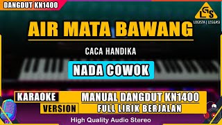 AIR MATA BAWANG - CACA HANDIKA KARAOKE DANGDUT KN1400
