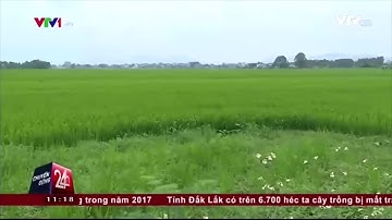 Bản sao của Ý Thức Của Con Người Và Bất Cập Trong Xử Lý Rác Thải Tại Việt Nam VTV24 1