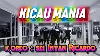 KICAU MANIA - Ndarboy Genk | Salsation®️ Choreography by SEI Intan Ricardo