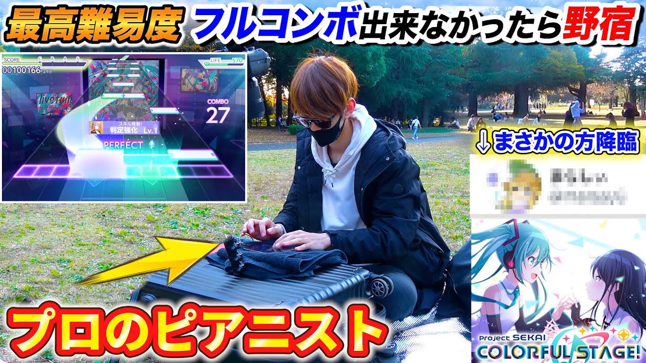 【プロセカ】未経験者「プロのピアニストなら1日で最高難易度フルコン出来るよね？」byよみぃ【野宿神回】