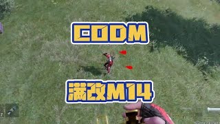 使命召唤手游:我金蛋满改M14秒你一下怎么了? #使命召唤手游CODM