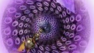 Sounds Of Hyperverse