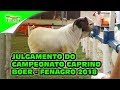 JULGAMENTO DO CAMPEONATO CAPRINO BOER   FENAGRO 2018°