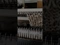 Winterproduktion hat gestartet am Ende ein kleiner Tipp-Stricken auf der Strickmaschine