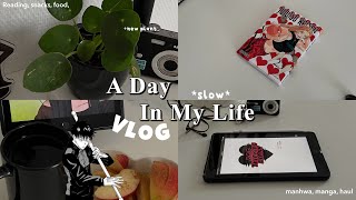 Slow Days in My Life || Daily Vlog, foods, manga, reading, ootd and more..
