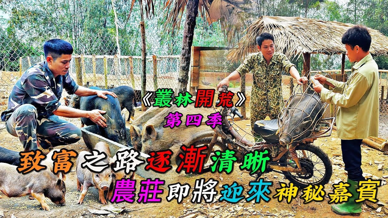 REP：一口氣看完，致富之路逐漸清晰，農莊即將迎來神秘嘉賓《叢林開荒》第四季 完結篇（14-17）