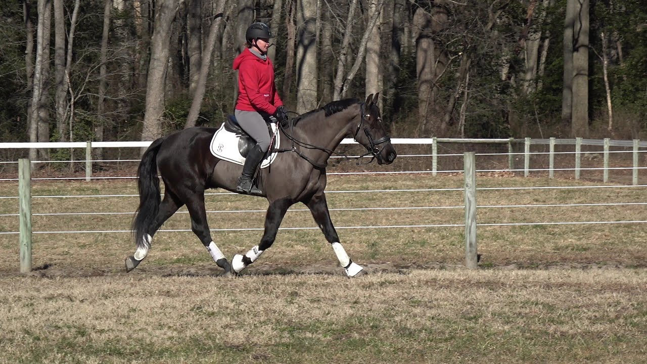 Spade in the field 1 16 26