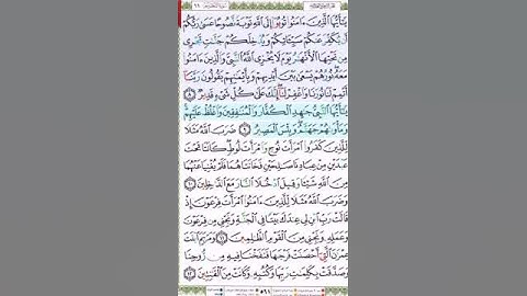 #سورة التحريم#تلاوة الآنسة سمية #الآية 9#قليل دائم خير