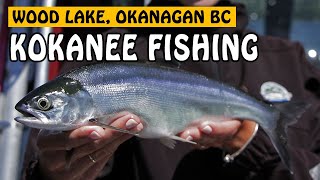 TROLLING FOR OKANAGAN SUMMER KOKANEE AT WOOD LAKE | Fishing with Rod