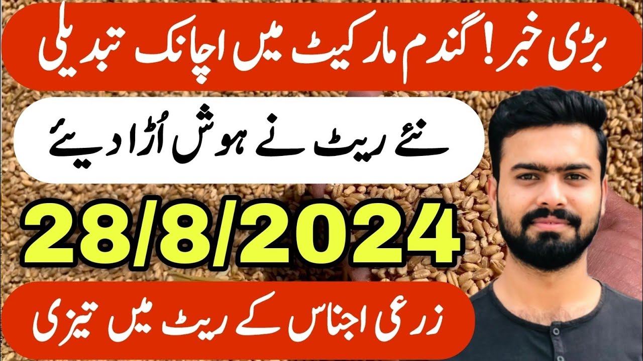 Wheat Price Today in Pakistan | New Munji Til Kapas Makai Rate Today ...