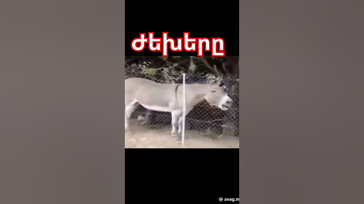 Ահա այս տեսակի պատճառով է, որ Հայաստանը կանգնել է լինել չլինելու առաջ #հայաստան #նիկոլ #ղարաբաղ