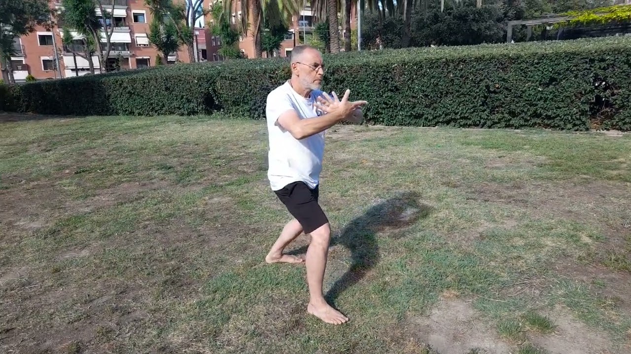 El Tai Chi de los 13 movimientos