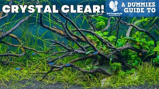 The Clearest Water In Your Aquarium, Easy How To! A Dummies Guide To Clear Water.