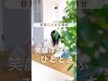 日常に小さな幸せ 笑顔浮かぶひととき #暮らし #暮らしチャンネル #インテリア #新築