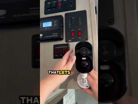 Waggle Reel.mp4