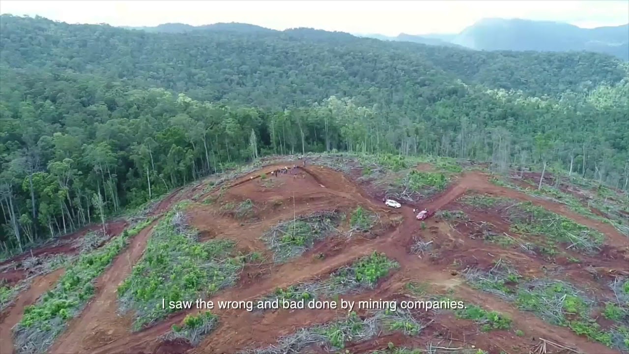 Ipilan Nickel Corporation- Get out of Brooke's Point!