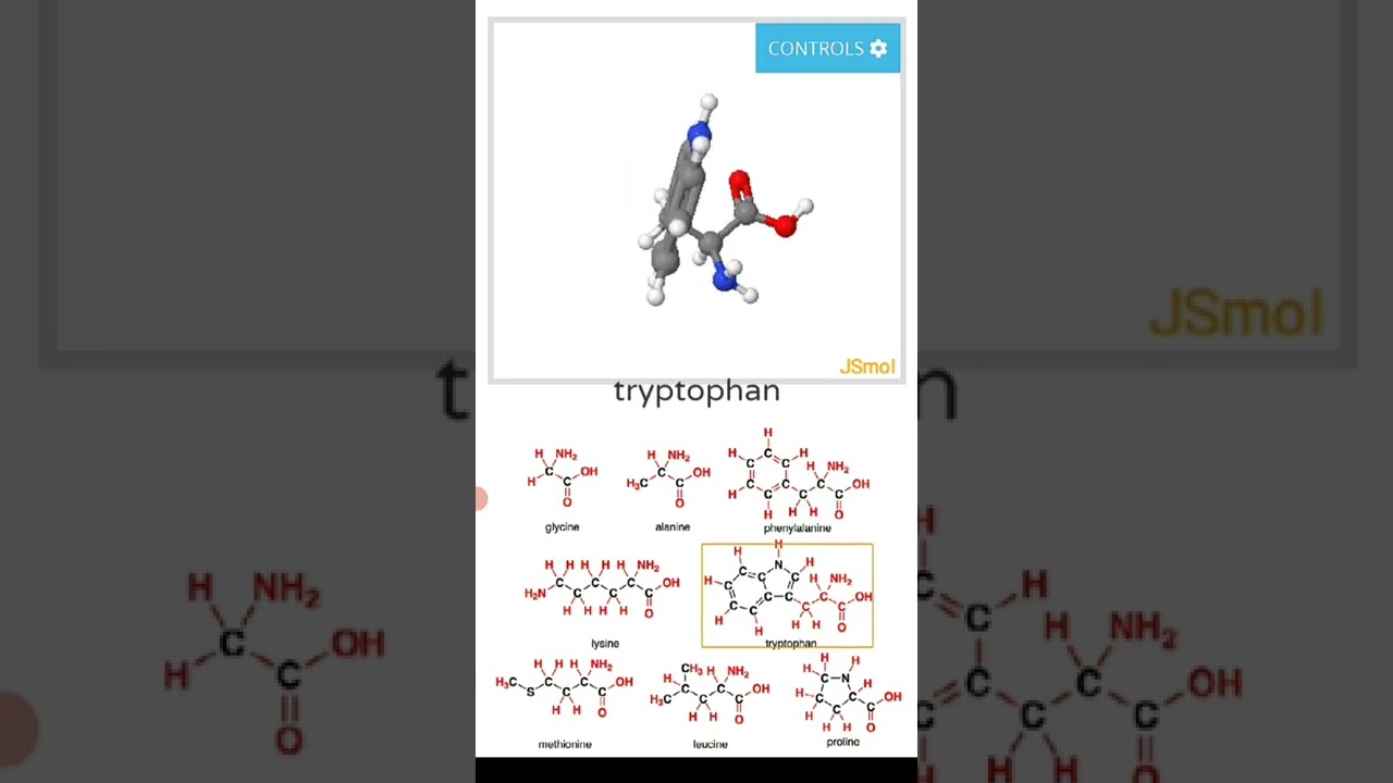 Introductory Structures Selected Amino Acids 