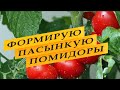 Как формирую и пасынкую томаты.