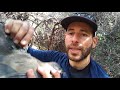 Lowa Camino GTX Hiking Boots Review