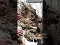 Ukraine soldier uses biological warfare. 🤣