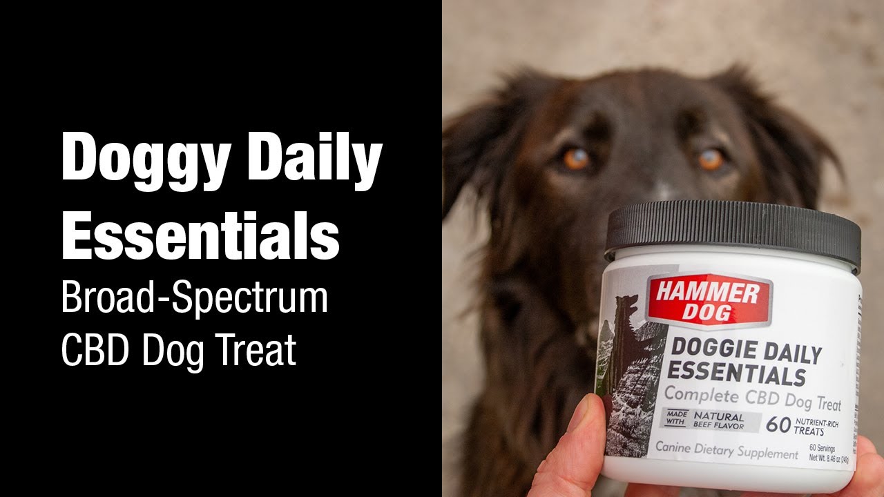 Doggie Daily Essentials