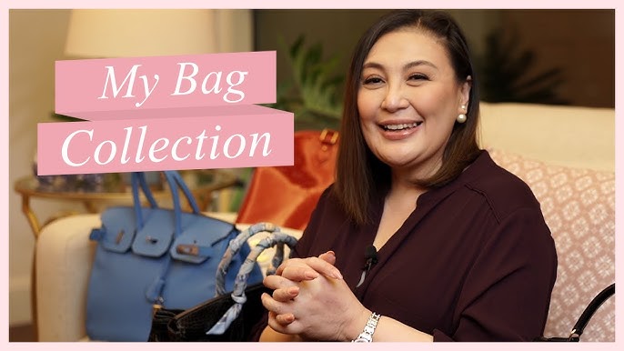Kim Chiu shows collection of luxury bags, including an Hermes painted by  Heart Evangelista