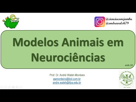 Vídeo: O Que Podemos Aprender Com Modelos Animais Sobre A Multi-morbidade Cerebral