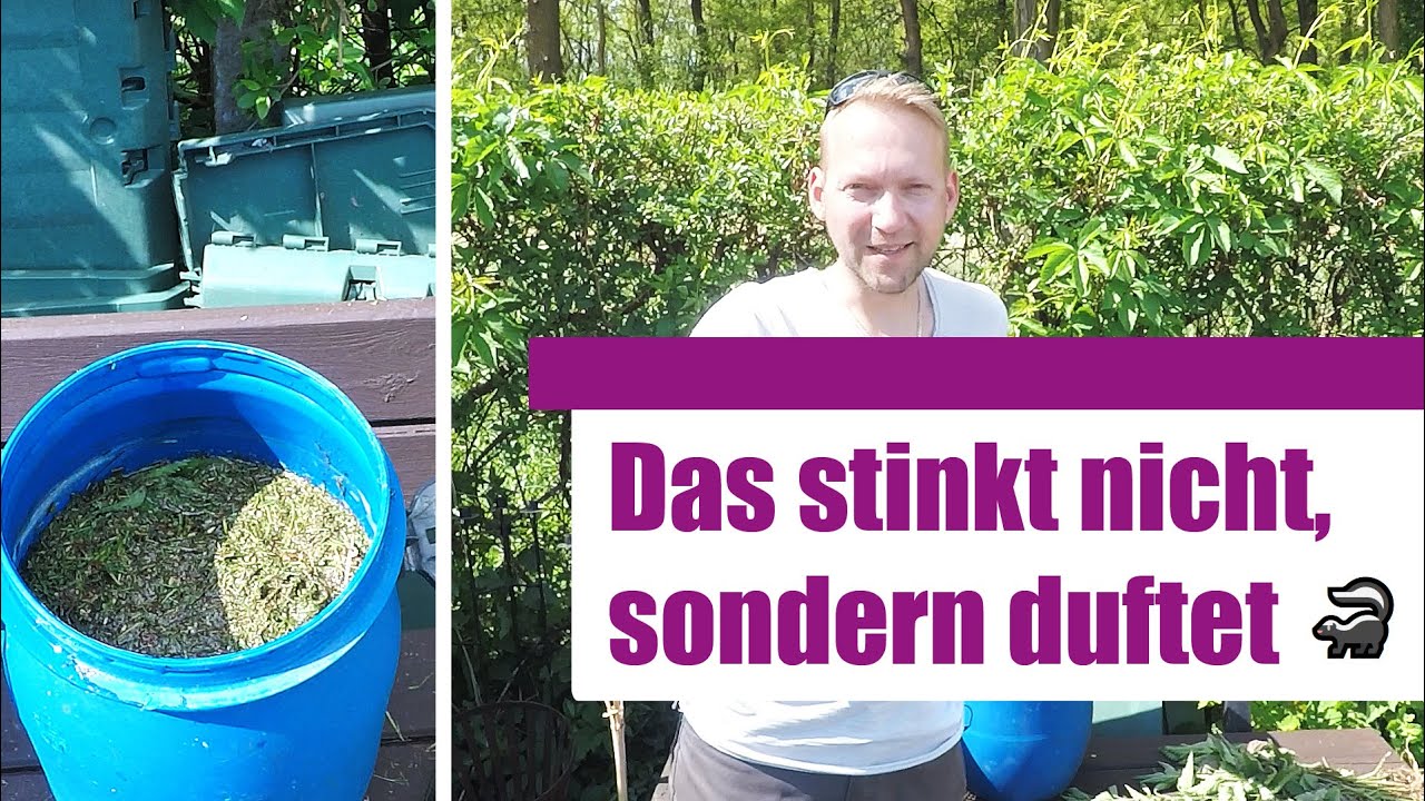 Jauche als Dnger herstellen - Teil 1/2 + Mhren  und Krbisse   aussen