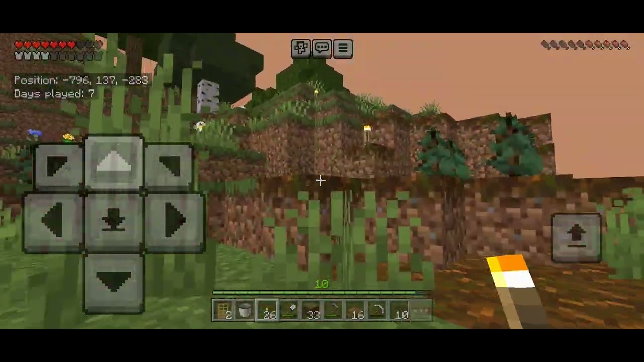 Minecraft No Cuts / No Commentary - Day 8 & 9 - Expansion and Support