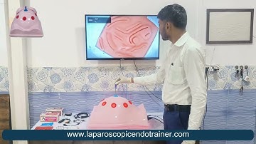 LAPAROSCOPIC ENDOTRAINER Laparoscopic Body / Pelvic Shape Virtual Endo Trainer TV Connection