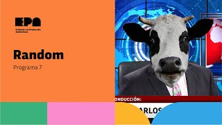 RANDOM | Programa 7