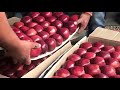 Today's 24-09-2019 apple market update | HIMALAYAN FARMING | live update | Prime Video