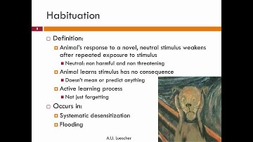 Behavior Modification for Cats: 4. Habituation - class