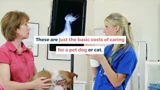 How to Reduce Your Veterinary Bills