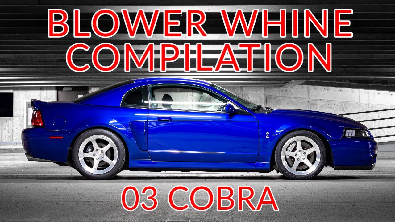 Supercharger Whine Compilation 03 SVT Cobra Eaton & Whipple YouTube
