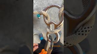How to rope in using a rescue 8 ring for rappelling🪢 #ropetutorial #knottutorial #firenuzzle