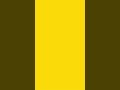 Pure Gold Color Screen 🎨 | Solid Background | No Sound #shorts #ytshorts