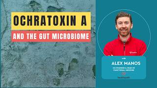 Ochratoxin A And The Gut Microbiome