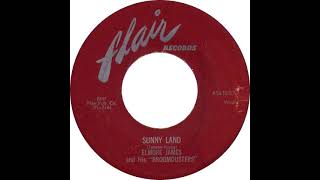 Elmore James ans his broomdusters Sunny Land