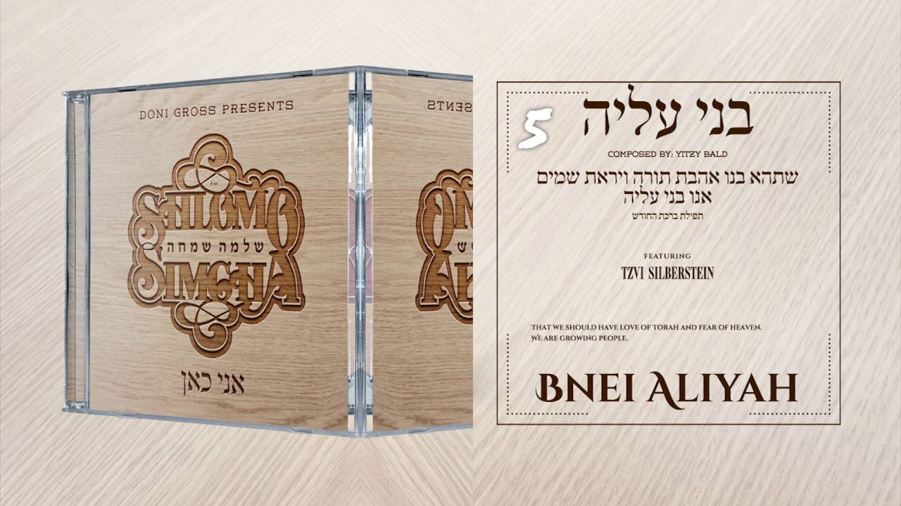 Shlomo Simcha - Ani Kan Sampler