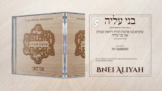 Shlomo Simcha - Ani Kan Sampler