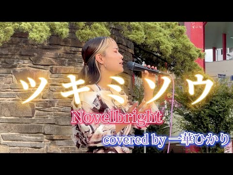 新たなる《ツキミソウ》【Novelbright】covered by #一華ひかり ※詳しくは概要欄をご覧下さい！#wakingwithyou #novelbright