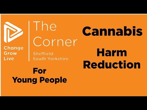 Cannabis Harm Reduction Practical Tips & Advice For Young People