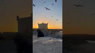 Essaouira Maroc ?