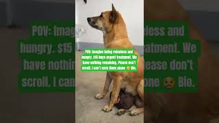 #GlobalSupport#PetLovers#DogsOfInstagram#RescueDogsRock#HopeForAnimals#ActNow#EveryDollarCounts#dogs