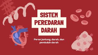 Sistem Peredaran Darah Pada Manusia #sistem #peredarandarah #manusia #darah