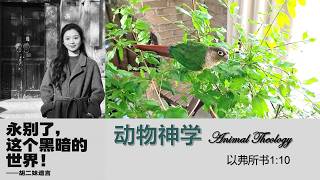 以弗所书地5课：动物神学（1:10）。动物能复活并且永生吗：奥古斯丁批判。宠物安息礼拜与建立宠物公墓的倡议。四活物：哥贝克力石阵-金字塔-三星堆的共同见证。